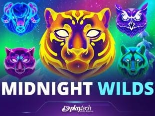 Midnight Wilds game cover